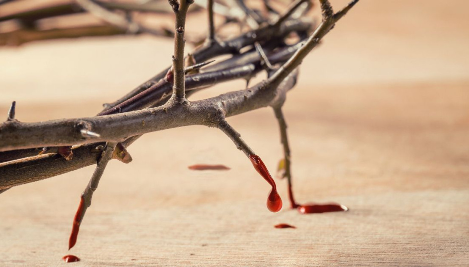 Krunica krvi Kristove