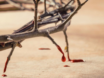 Krunica krvi Kristove